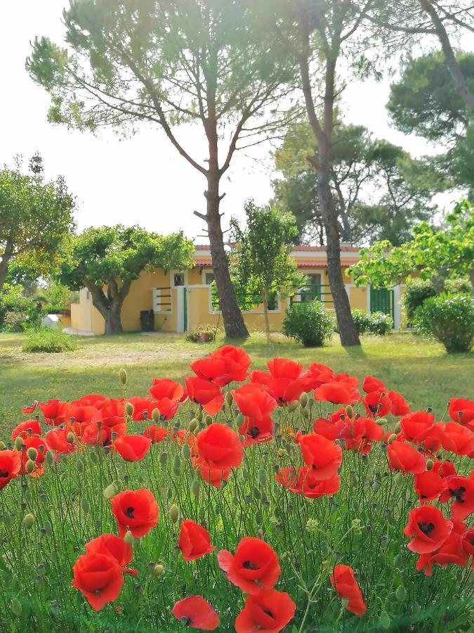 Case Barone Di Muro Torre dell'Orso Εξωτερικό φωτογραφία