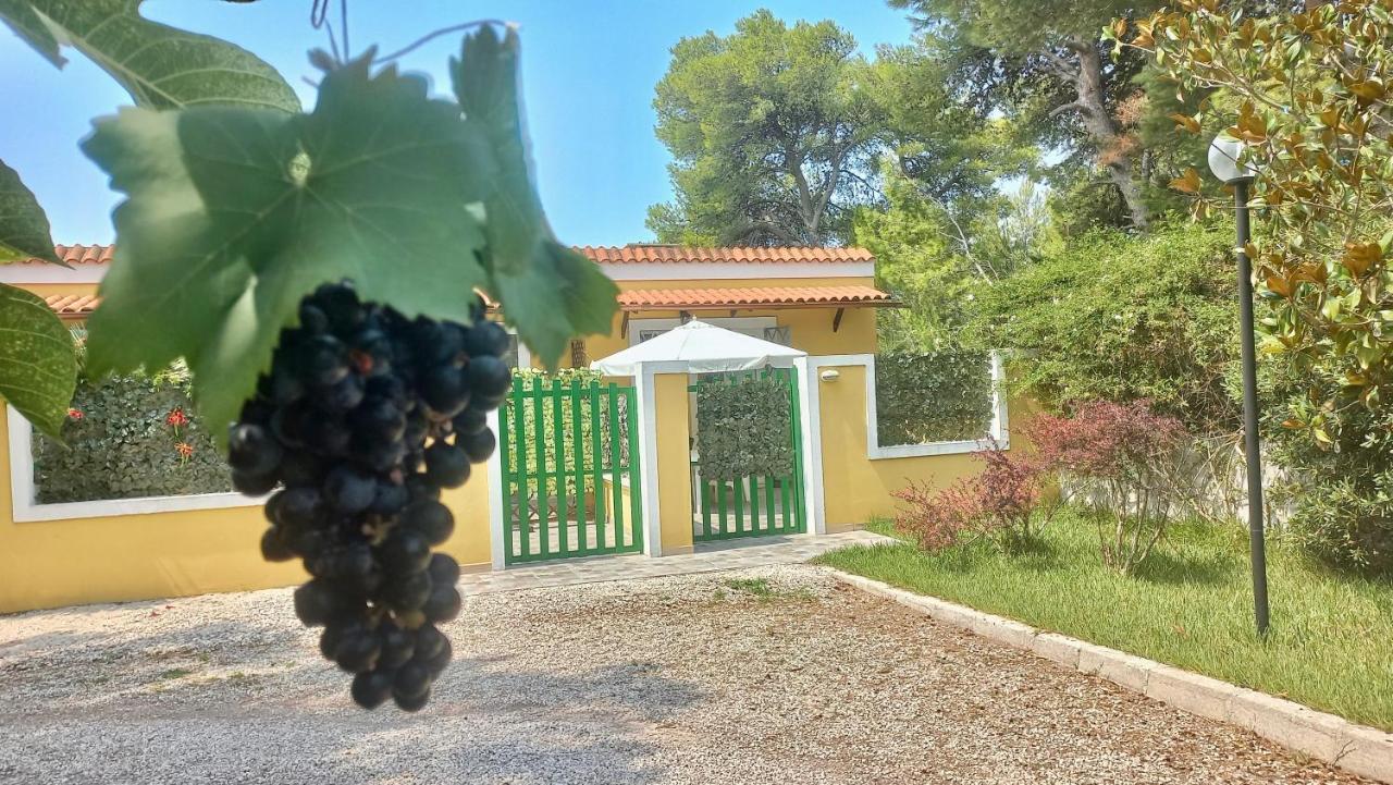 Case Barone Di Muro Torre dell'Orso Εξωτερικό φωτογραφία