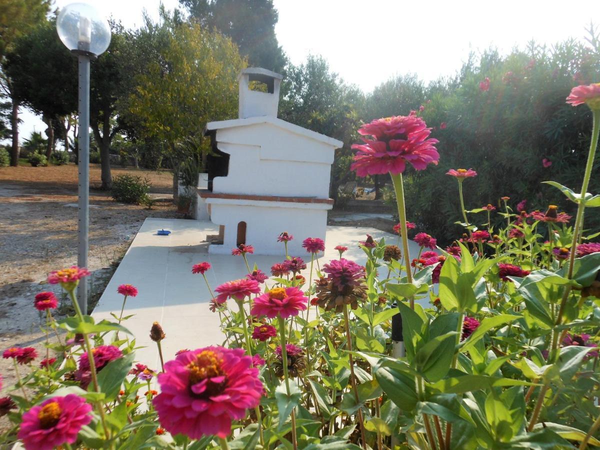 Case Barone Di Muro Torre dell'Orso Εξωτερικό φωτογραφία