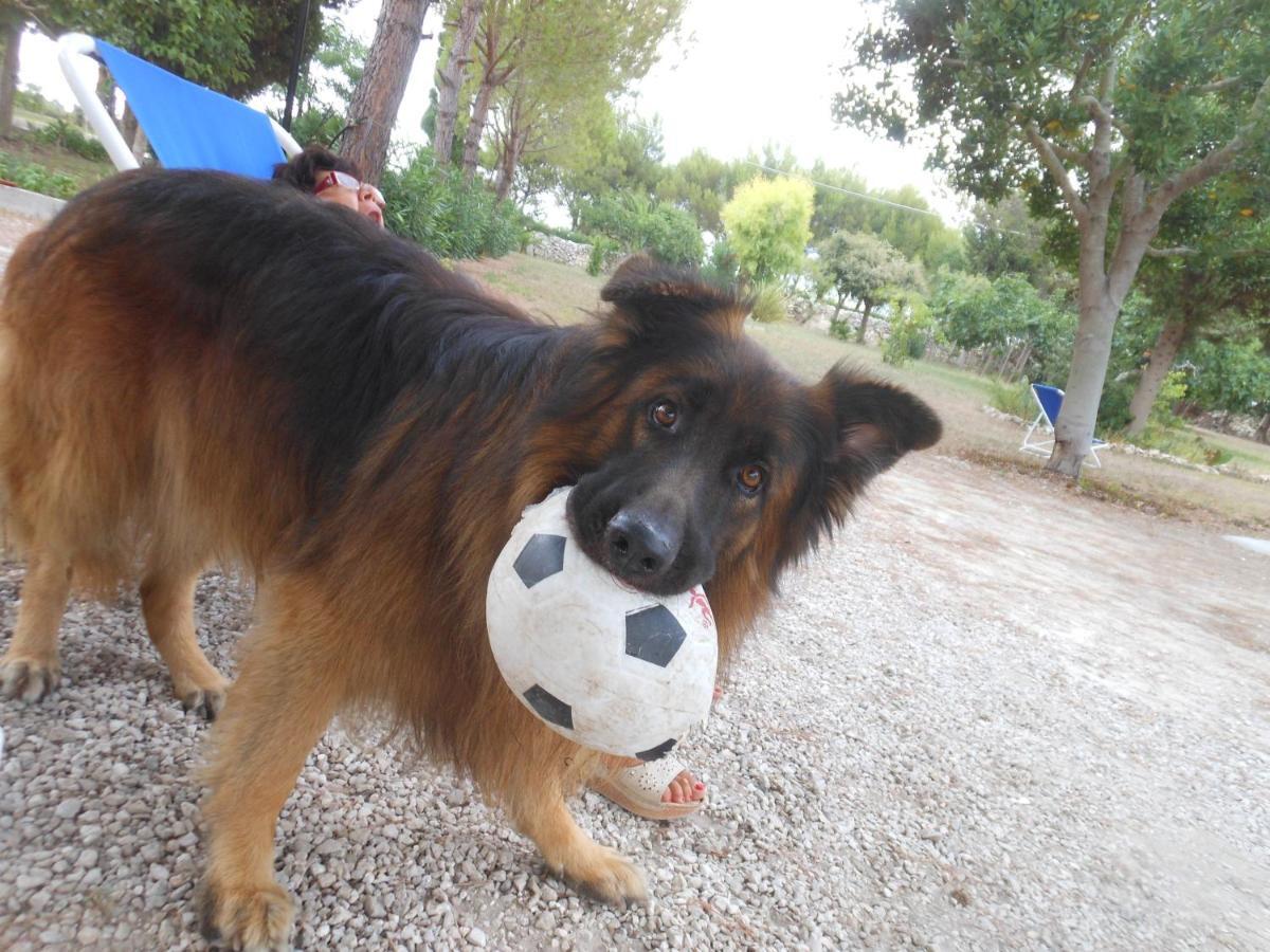 Case Barone Di Muro Torre dell'Orso Εξωτερικό φωτογραφία